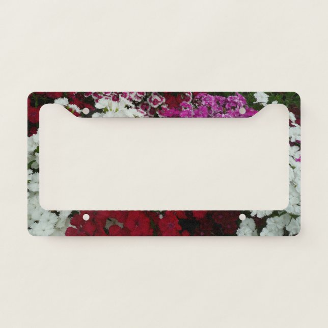 White, Pink and Red Dianthus Floral License Plate Frame (Front)