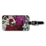 White, Pink and Red Dianthus Floral Luggage Tag