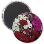 White, Pink and Red Dianthus Floral Magnet