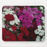 White, Pink and Red Dianthus Floral Mouse Pad