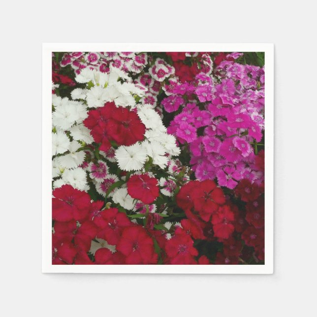 White, Pink and Red Dianthus Floral Napkins (Front)