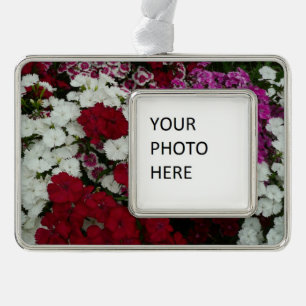 White, Pink and Red Dianthus Floral Ornament