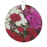 White, Pink and Red Dianthus Floral Ornament
