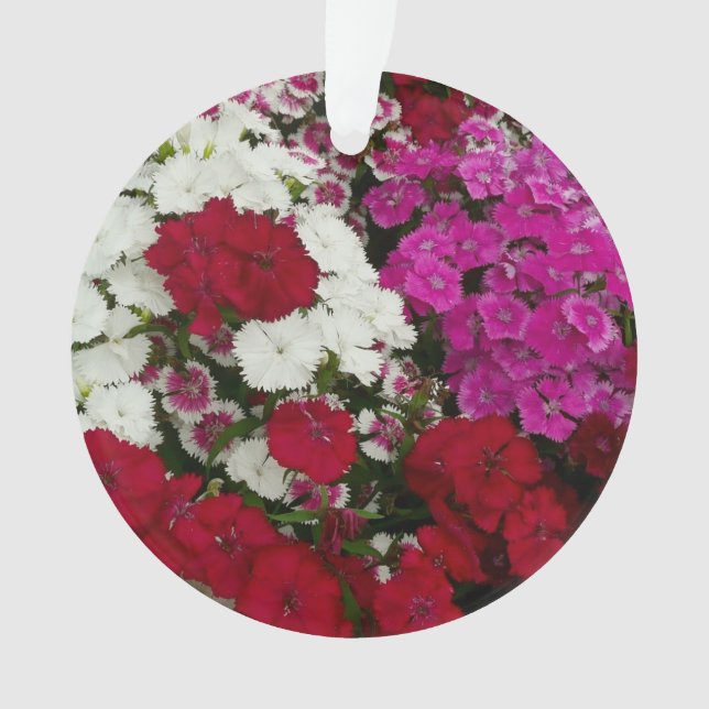 White, Pink and Red Dianthus Floral Ornament (Front)