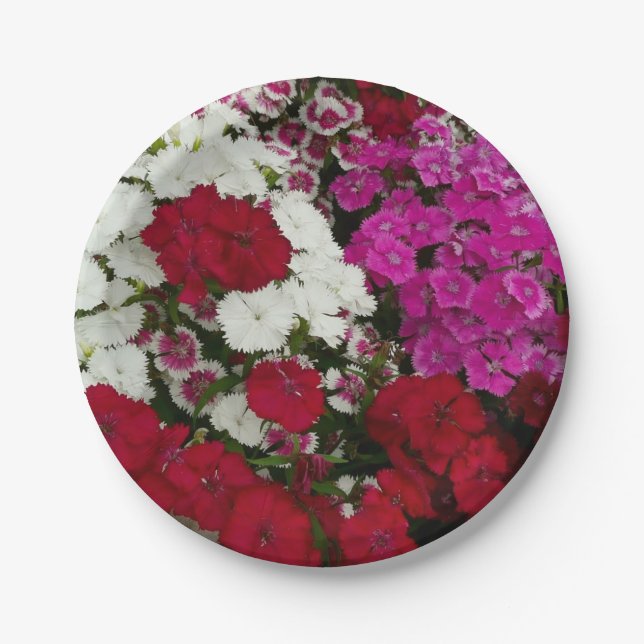White, Pink and Red Dianthus Floral Paper Plates (Front)