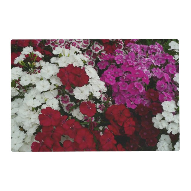 White, Pink and Red Dianthus Floral Placemat (Front)