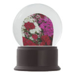 White, Pink and Red Dianthus Floral Snow Globe