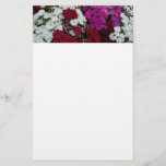 White, Pink and Red Dianthus Floral Stationery