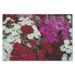 White, Pink and Red Dianthus Floral Tissue Paper