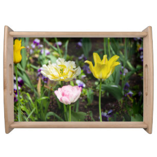 White, pink and yellow tulips in the garden   serving tray