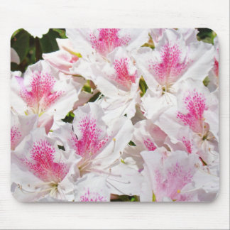 White Pink Azaleas Flowers mouse pads Floral gifts