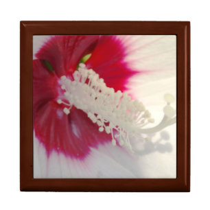 White Pink Close-up photographt Floral Gift Box