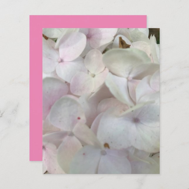 White Pink Hydrangea Blossoms Scrapbook Paper (Front/Back)