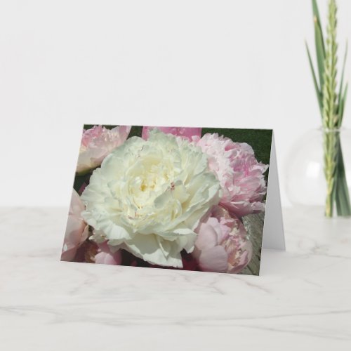 White Pink Peonies Blank Inside Greeting Card