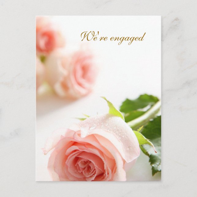 White pink rose Engagement Announcement (Front)