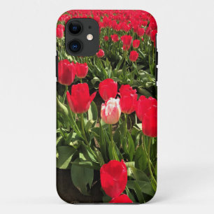 White & Pink Tulip in a Red Tulip Field, Oregon iPhone 11 Case