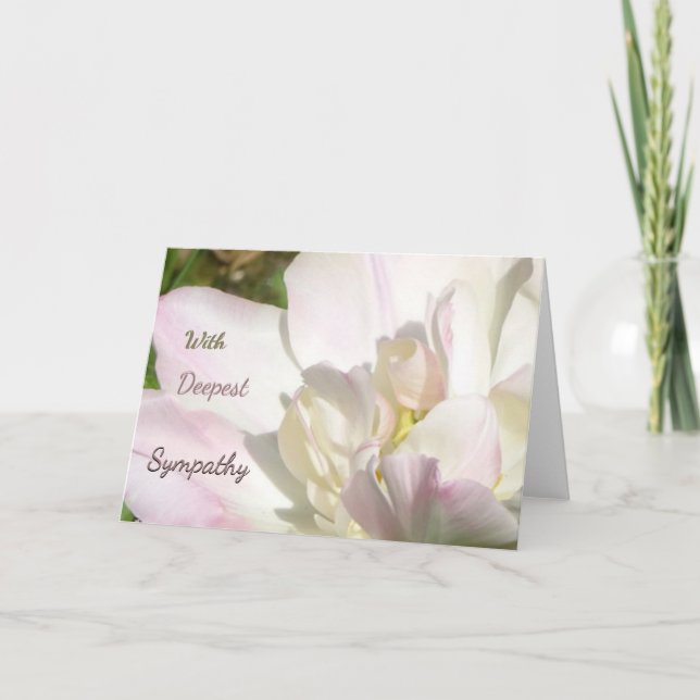 White Pink Tulip Sympathy Greeting Card (Front)