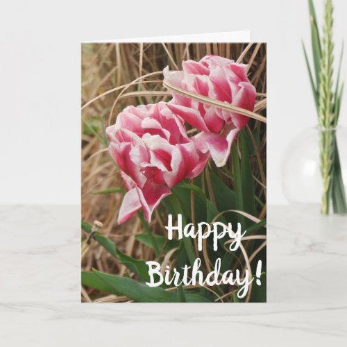 White  Pink Tulips Birthday Blessings Card