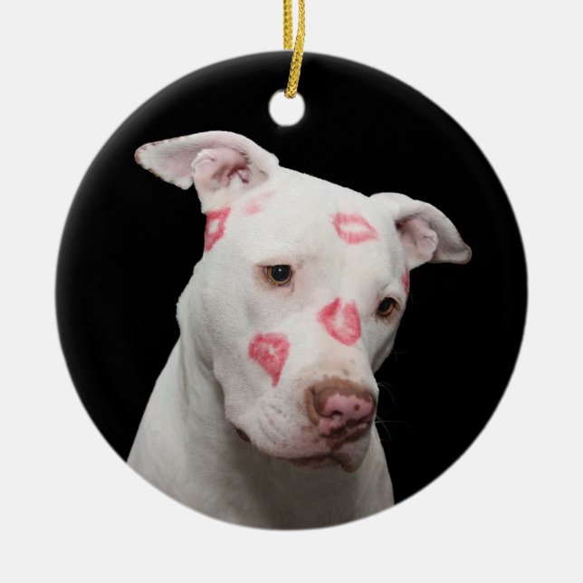 White Pit Bull with Kisses Ceramic Ornament (Front)