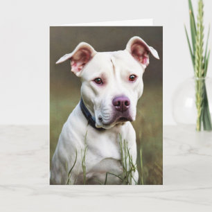 White Pitbull Birthday Card