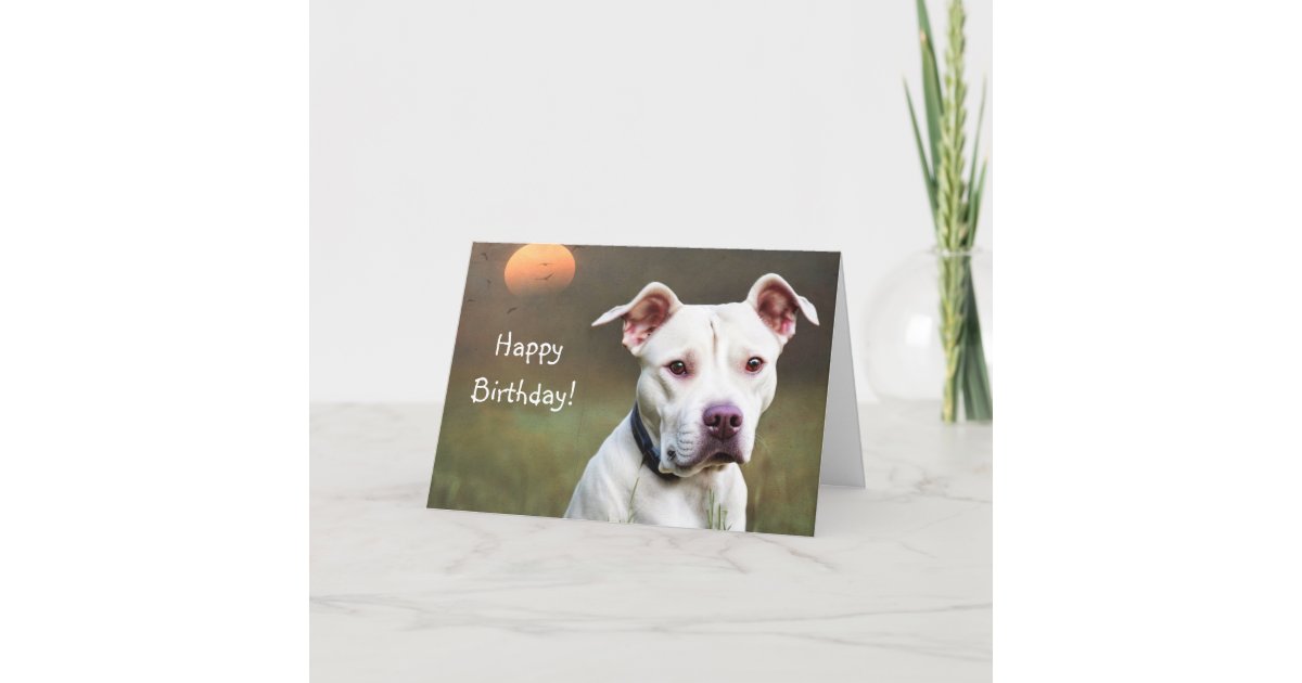 White Pitbull Birthday Card | Zazzle