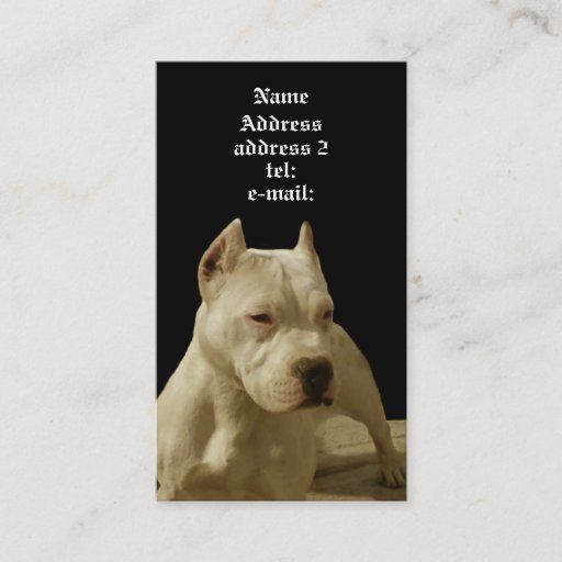 Customizable White pitbull business card