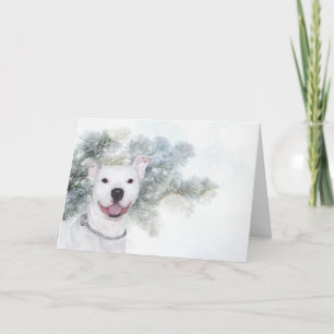 White pitbull Christmas Holiday Card
