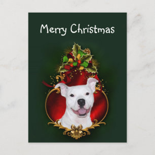 White pitbull Christmas Holiday Postcard
