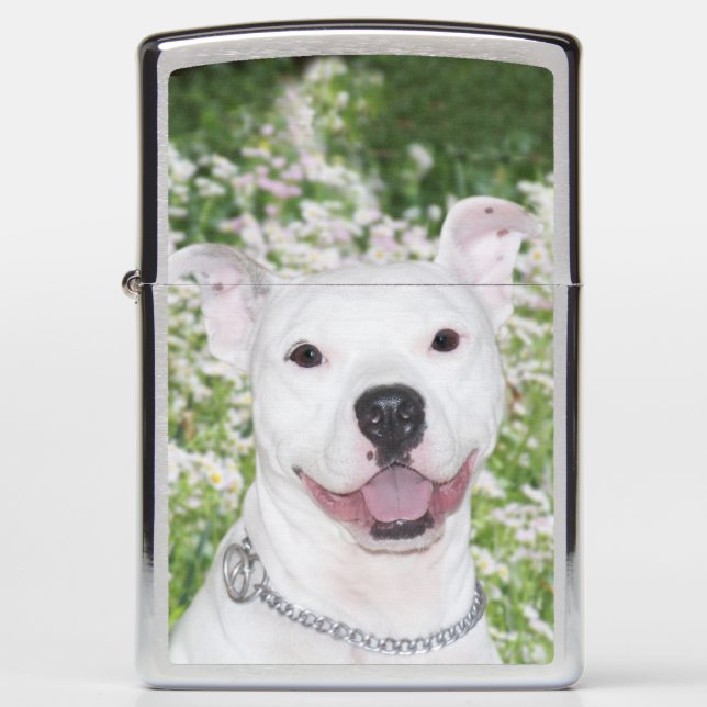 White pitbull face zippo lighter (Front)