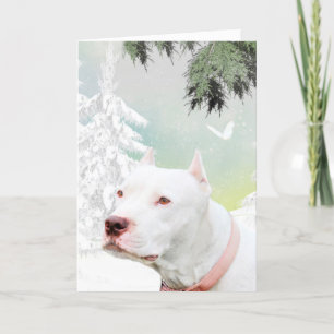 White pitbull in snow holiday card
