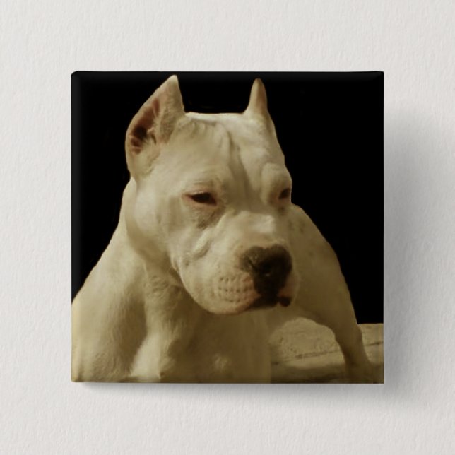 White pitbull pinback button (Front)