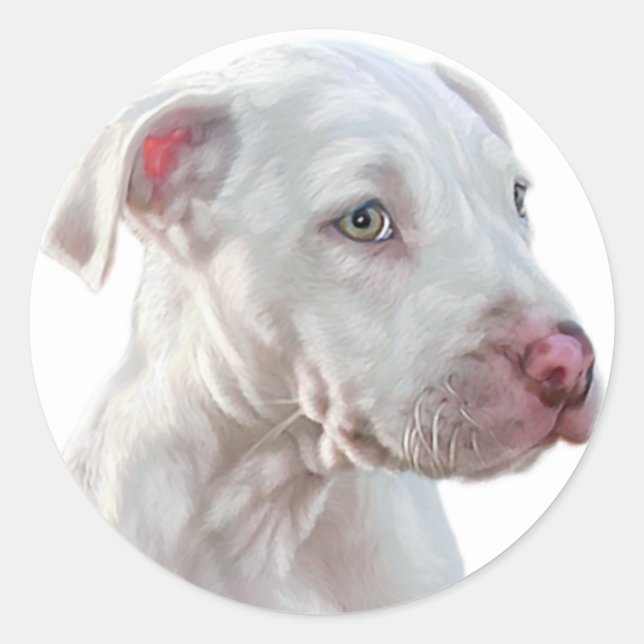 White Pitbull Puppy Classic Round Sticker (Front)