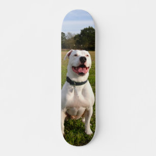 White Pitbull Skate Sitting In The Field Skateboard