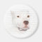 White pitbull terrier face