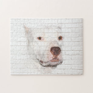 https://rlv.zcache.com/white_pitbull_terrier_jigsaw_puzzle-re5048684407249fa9cb50dfa43fdca10_amb07_8byvr_307.jpg