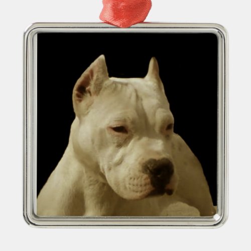 White Pitbull Terrier Metal Ornament