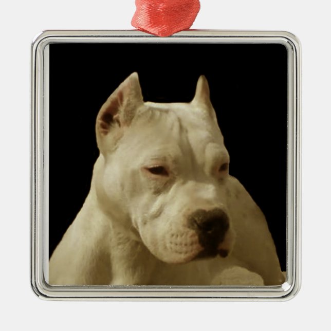 White Pitbull Terrier Metal Ornament (Front)