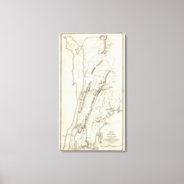 White Plains and Weapons Canvas Print (Front)