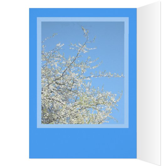 WHITE PLUM BLOSSOMS (CUSTOM) (Inside (Left))