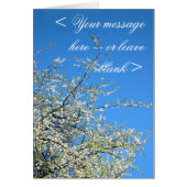 WHITE PLUM BLOSSOMS (CUSTOM) (Front)