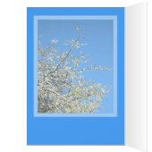 WHITE PLUM BLOSSOMS (CUSTOM) CARDS (Inside (Left))