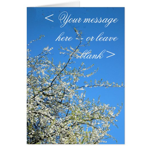 WHITE PLUM BLOSSOMS (CUSTOM) CARDS (Front)