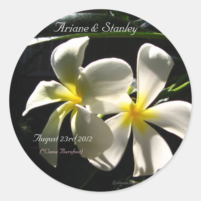 White Plumaria Tropical Flowers Envelope Seals (Front)