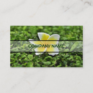 White Plumeria 2 Business Card