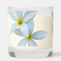 White Plumeria Bloom Scented Jar Candle