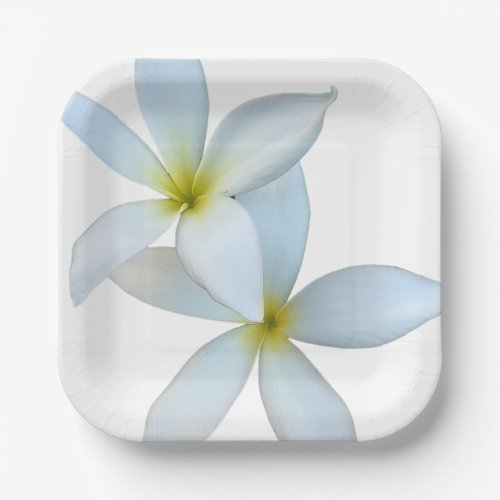 White Plumeria Blooms Paper Plate