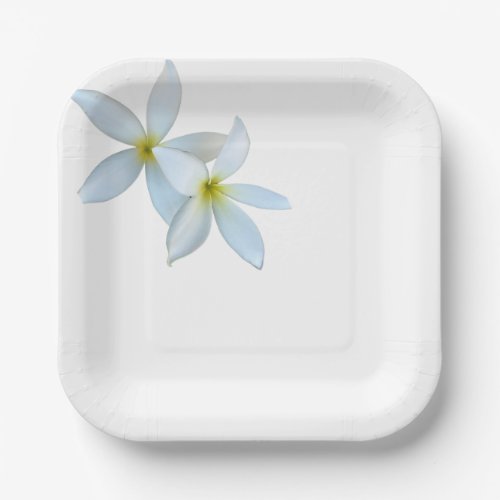 White Plumeria Blooms Paper Plate