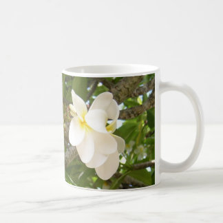 White Plumeria Cofee Mug