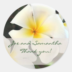 White Plumeria Flower Thank You Sticker
