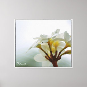 White Plumeria Flowers Kauai (photo taken by me) Canvas Print